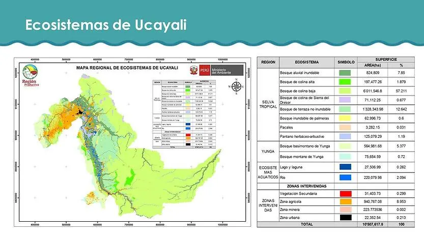 Durante el evento se abordó el marco conceptual sobre restauración de ecosistemas, donde se identificó el enfoque, las o